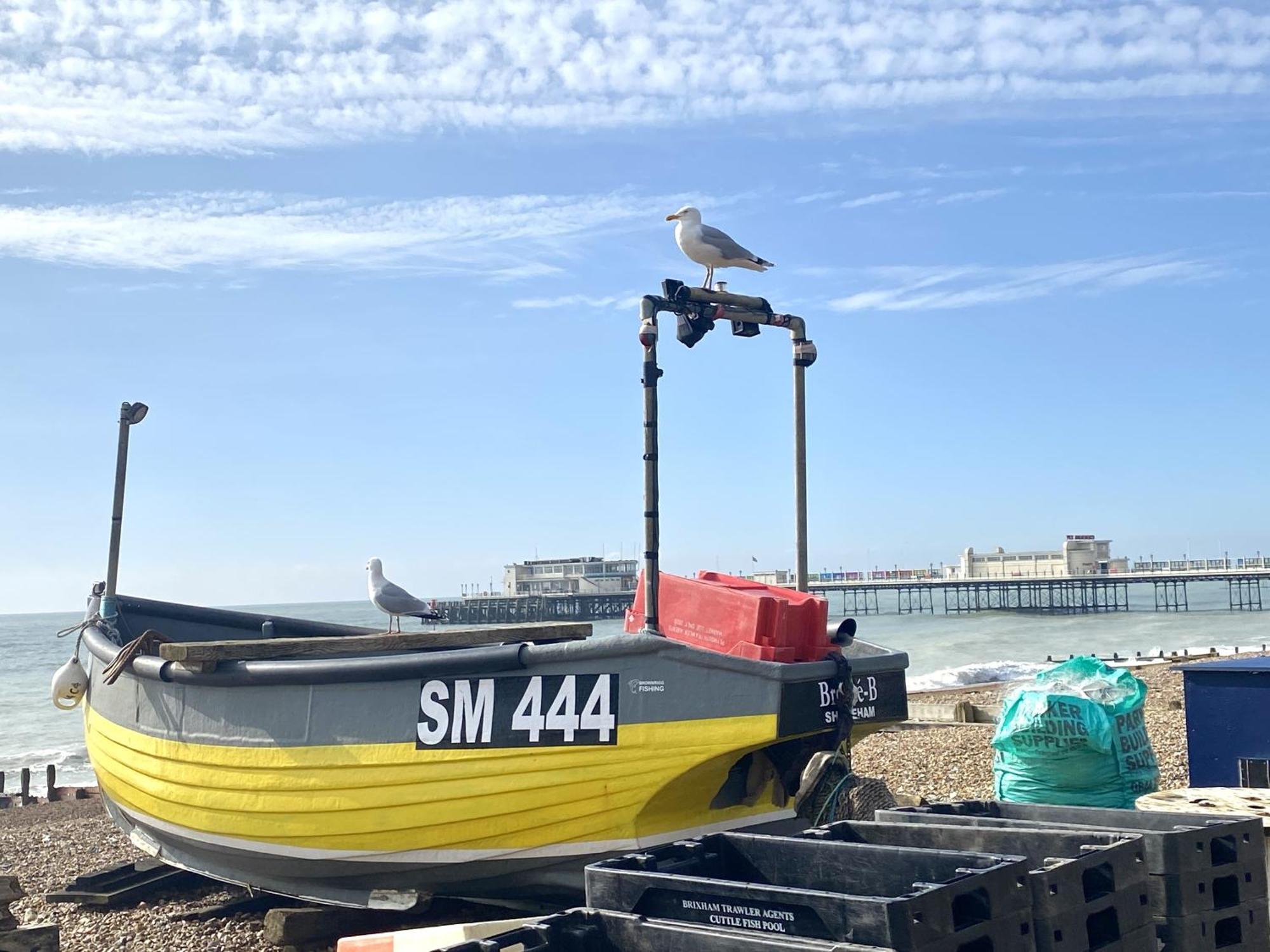 Stunning 2 Bed Apartment Sea Views And Parking Worthing Bagian luar foto